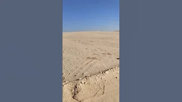 ألف رزمة يابا علسبنى خلع 