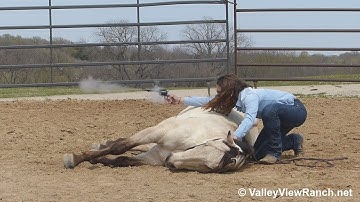 Tanner - bareback gunfire, liberty, mount, dismount, lay down! - ValleyViewRanch.net