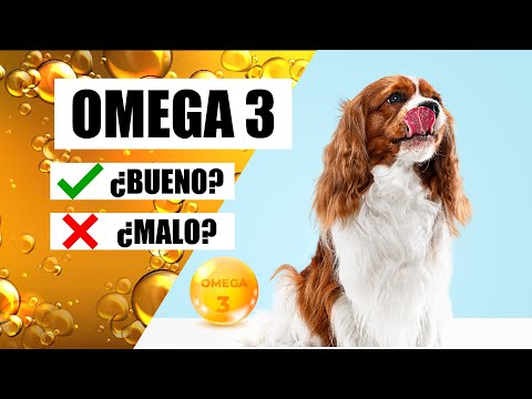 Video: Elegir el mejor suplemento para un mutt: 6 cosas que debe saber