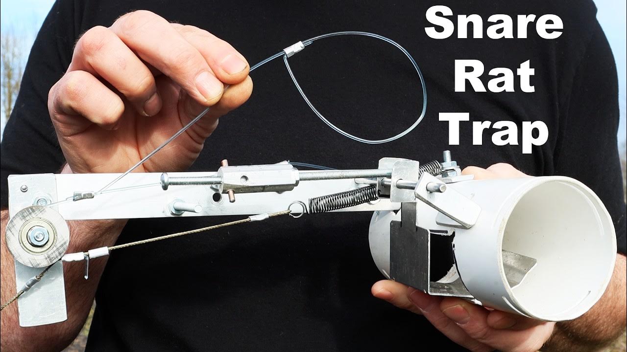 Jarrod uthoff. 2x large mondays. 2x large mondays. Исаги йоси. 2x large mondays.