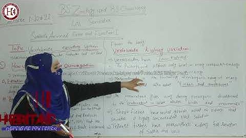 Heritage College BS Zoology & BS Chemistry 4th Lecture No.22 Animal Form & Function I