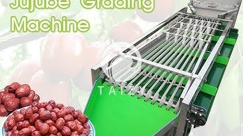 Full automatic jujube grading machine dates sorting machine for fruit processing industry