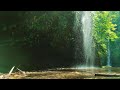 Magical Forest Sounds, Melody of Birds Song, Relaxing Stream Forest - Reduce Stress and Healing