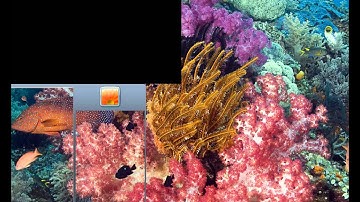 Counter Strike 1.6 have problem help me