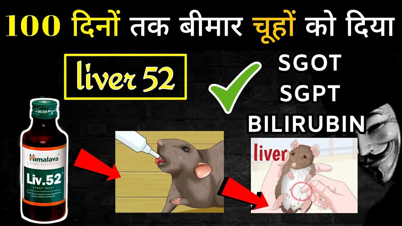 liver 52 ke fayde |  Liv 52 ds kis kaam aati hai | Liv 52 uses in hindi | Liv 52 kis kaam aati hai