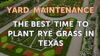 The Best Time to Plant Rye Grass in Texas