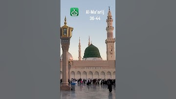 Surah Al-Ma'arij (The Heights) 36-44 | Urdu | Hindi Audio Translation |  سورة المعارج