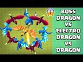 BOSS DRAGON Vs Electro Dragon Vs Dragon 🔥🔥 Mega Dragon COC | Clash of Clans