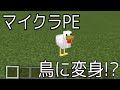 تحميل マイクラ 倒した敵や動物に変身する方法 Mod不要 Minecrft コマンド紹介 Mp3 Mp4 تحميل マイクラ 倒した敵や動物に変身する方法 Mod不要 Minecrft コマンド紹介 Mp3 Mp4