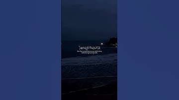 القرآن الكريم_راحة نفسية القارئ: عبدالرحمن مسعد سورة: الفتح | آية: [4]