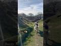 Dog 🐶 Walking on a Sunny Day for Buzzy 🐝 English Setter #englishsetter #dogexercise
