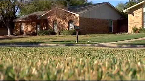 The Dirt Doctor on Lawns