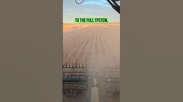 How To Raise Soybean Yields