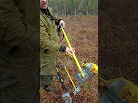 сбор клюквы. новый инструмент, новые грабли. 2024.www.sbor-yagod.ru