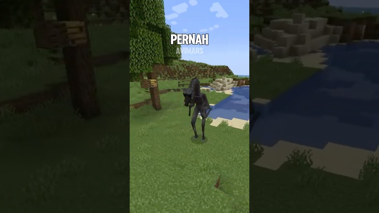 Jangan pernah membebaskan scp ini di minecraft