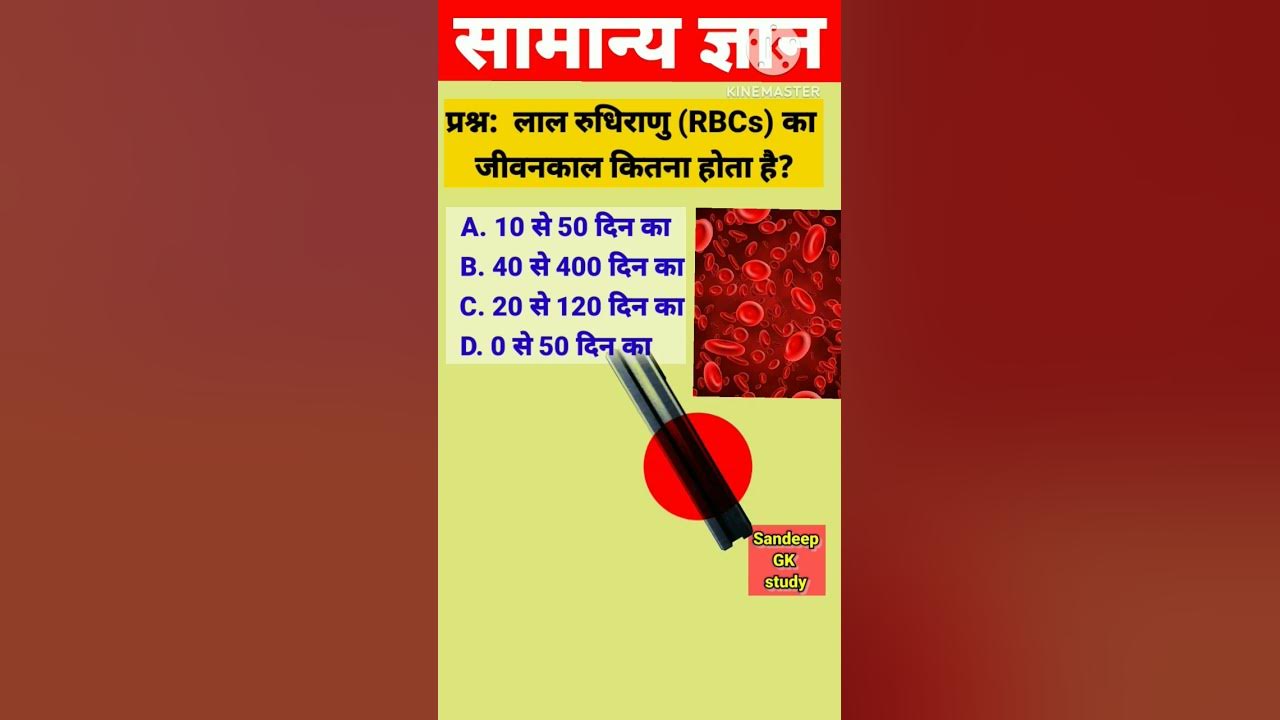 Aaj Ka Question RBCs Kitna Hota Hai gktoday shortsfeed aaj-ka-question-rbcs-kitna-hota-hai-gktoday-shortsfeed