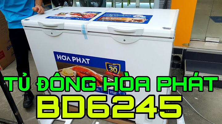 Đánh giá tủ đông hòa phát năm 2024