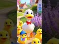 Dudi dudi dum dum vary song |baby song |kids song