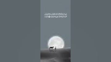 سورة الأعراف | أبو بكر الشاطري | تلاوة وقراءة جميلة وخاشعة وهادئه