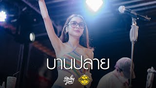 Video thumbnail of "BOWKYLION - บานปลาย (best wishes) [Live at London2020]"