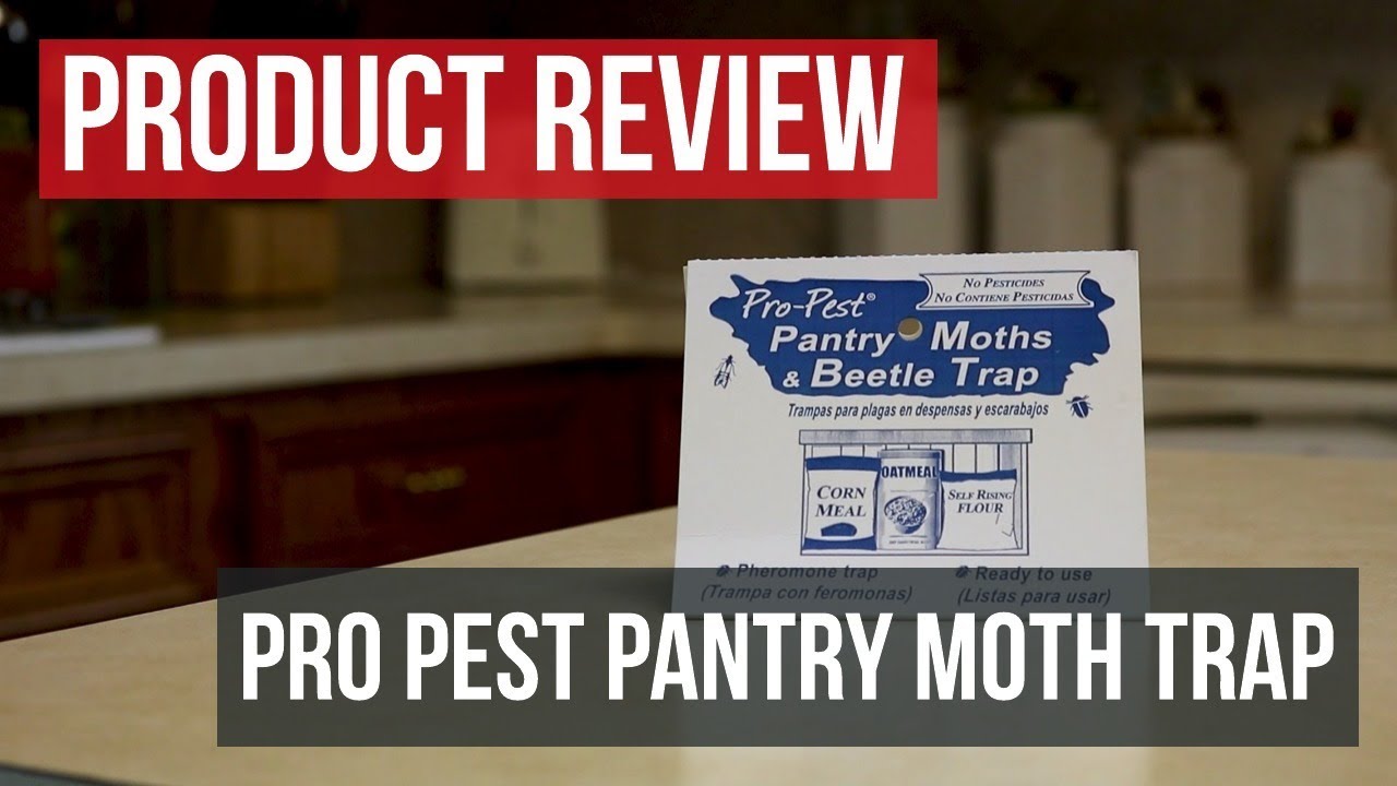 How to Use Pro-Pest Pantry Moth & Beetle Traps [Get Rid of Pantry Pests!] 