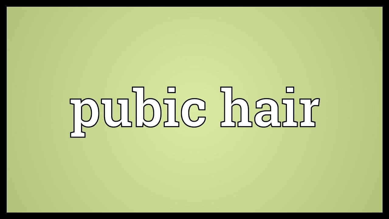 Pubic hair  definition of pubic hair by Medical dictionary