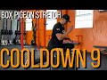 Cool Down 9 - Box Pigeon Stretch - Change the angle, change the stretch