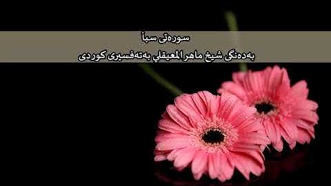 سوره‌تی سبأ به‌ده‌نگی شیخ ماهر المعيقلي به‌ته‌فسیری کوردی