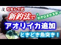 だもんで式で釣ったアオリイカを沖漬けのタレにぶち込む!&ときどき魚突き!エギングより釣れてヤエン苦手でもOK!【27話】