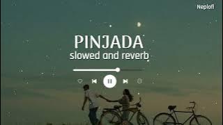 Pinjada - Lofi Mix | Slowed and Reverb | Satish Ghalan || Neplofi