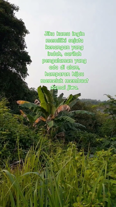 Hamparan hijau yang memeluk membuat damai jiwa #alamhijau #quotes #naturelovers #youtubeshorts