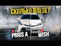 Toyota: Wish и Prius Alpha - ОНИ ЕЩЁ В ДЕЛЕ🔥🔥🔥 ИДЕАЛЬНЫЕ 😍 НО КТО ЛУЧШЕ ?! 🤔