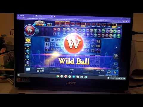 Bingo // wild ball for the win