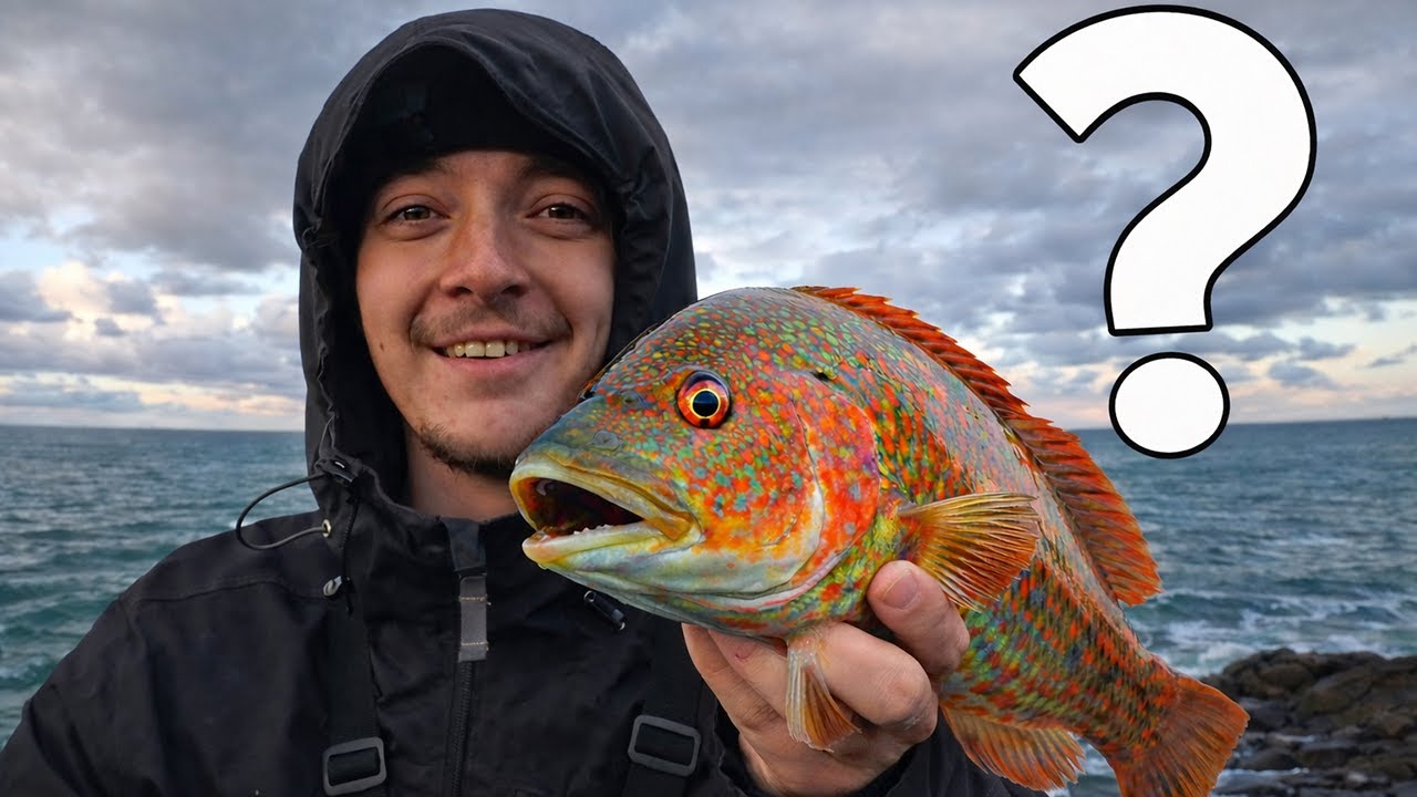 Pêche en début d'année en Bretagne: CA FONCTIONNE ? 🤔