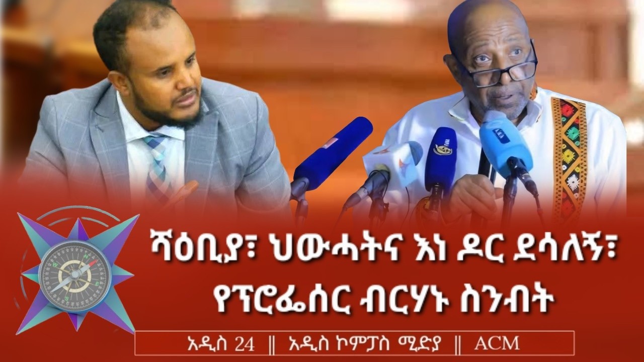 ሻዕቢያ፣ ህውሓትና እነ ዶር ደሳለኝ፣ የፕሮፌሰር ብርሃኑ ስንብት