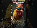 Ranking of funniest chicken screaming (part 31)