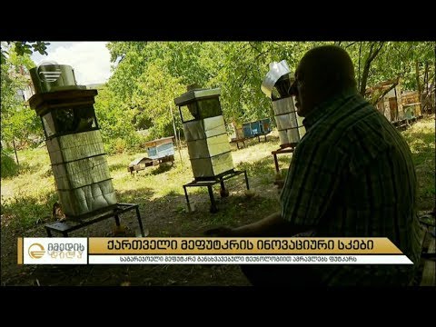 ქართული მეფუტკრის ინოვაციური სკები