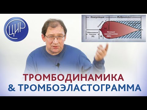Тромбодинамика и тромбоэластограмма. Чем отличается тромбодинамика от тромбоэластограммы. Гузов И.И.