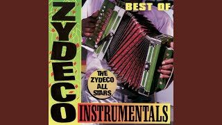 Video thumbnail of "Zydeco All Stars - Don't Mess With My Toot Toot"