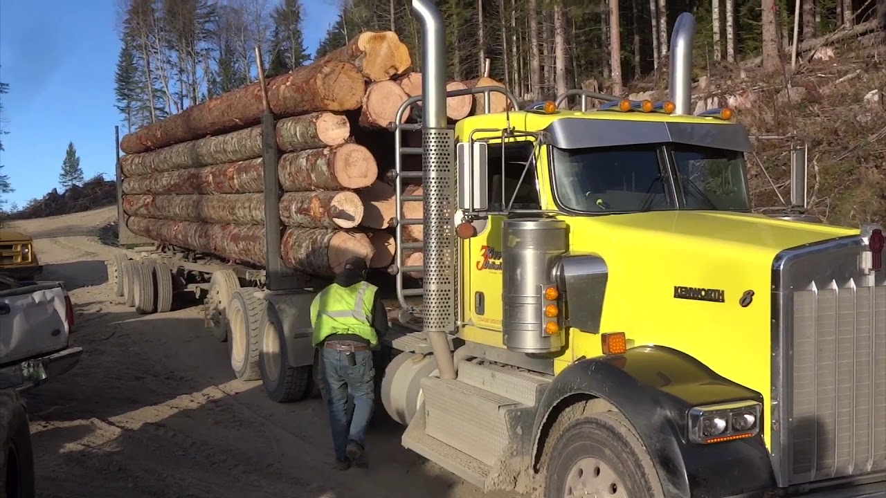  Log Trucker Truck Owner Log Truck Driver Equipment for
