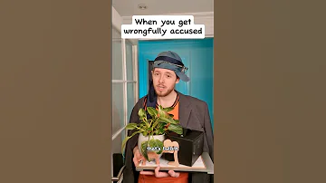 When you get wrongfully accused #shorts #comedy #funny #relatable