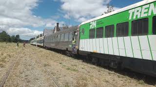 Verano de Tren Patagonico