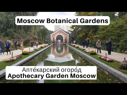 Video: Garden Center Sull'autostrada Di Mosca 