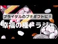 幸福の種が手軽に作れる！贈り物にもピッタリなドラジェレシピ