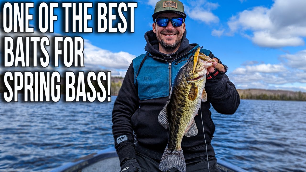 One of The Best Baits for Spring Bass Fishing YouTube