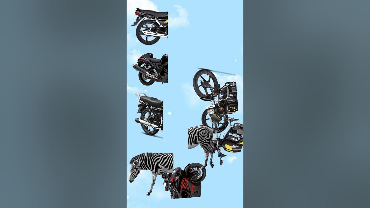 Yamaha R15 V2 version|Hero Splendor Plus modified bike short video|zebra 🦓 attacked by lion #shorts