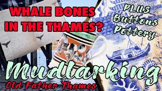 Why are Whale Bones in the Thames? #Mudlarking with Old Father Thames by OLD FATHER THAMES 1,759 views 9 months ago 14 minutes, 48 seconds