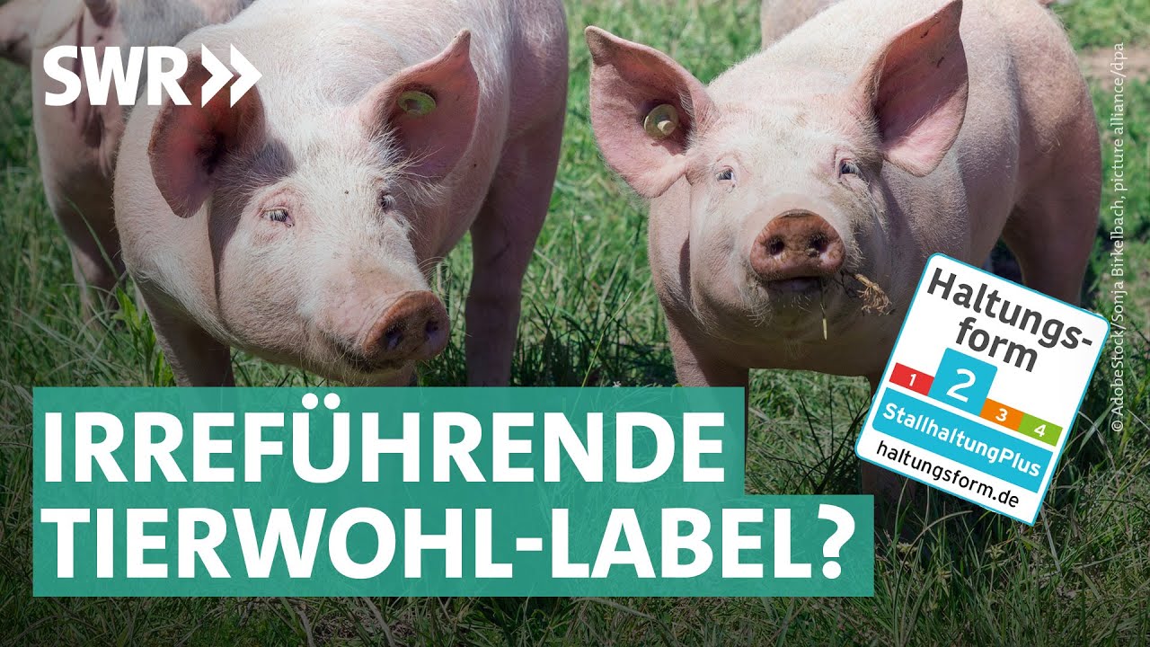 Bio oder was? Das Problem mit den Tierwohl-Labeln I Hundert Hektar Heimat