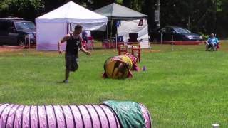 Rocky-Pit Bull Agility Championship Run 6814