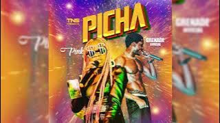 Grenade x Pinky - Picha (  Audio )